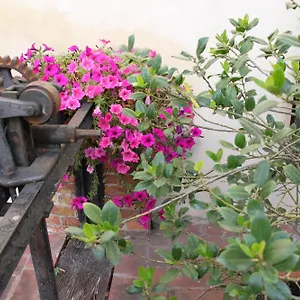 La Vecchia Cartiera Hotel
